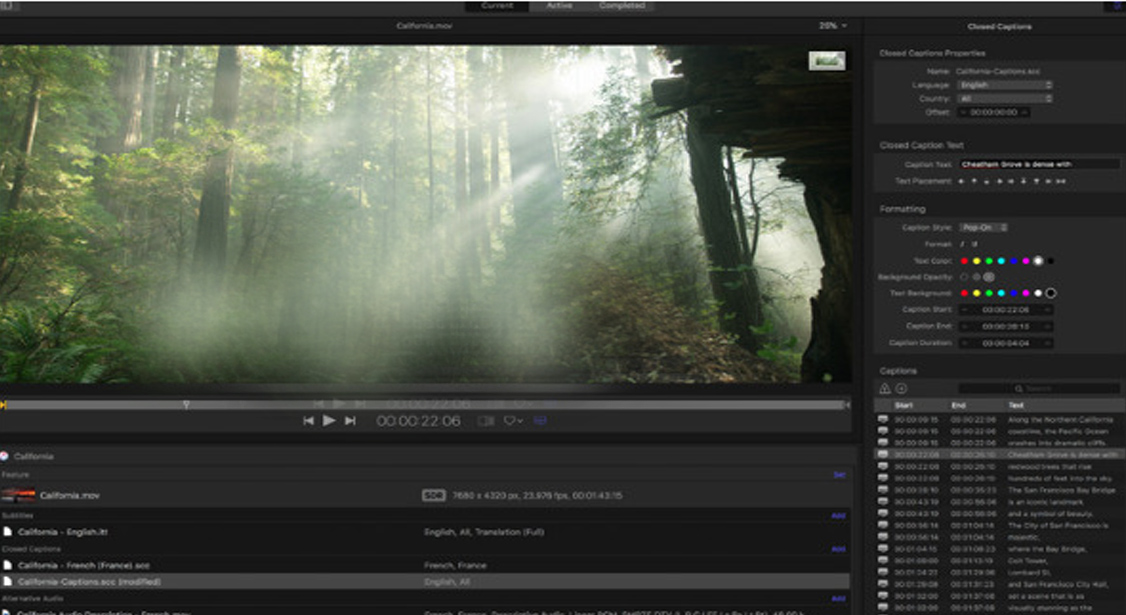 Final Cut Pro software