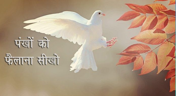 पंखों को फैलाना सीखे 