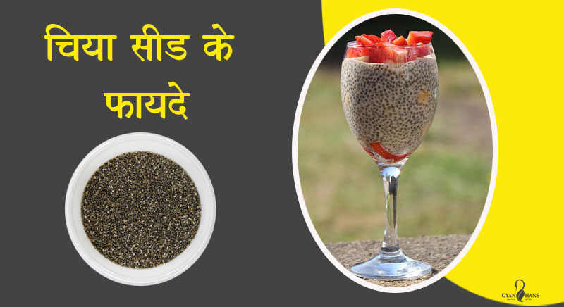 chia seeds in hindi