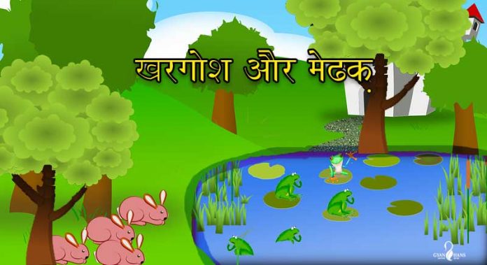 Story of rabbit and frog