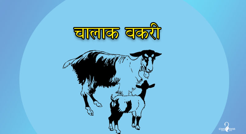 chalak bakari ki kahani